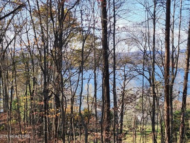 Lake Lot For Sale in Harriman, Tennessee