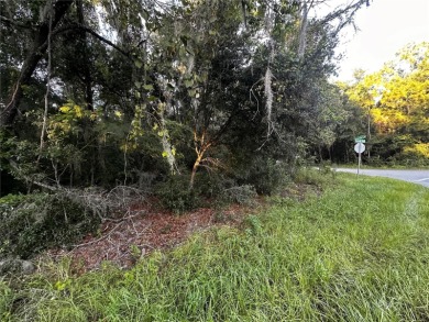 Lake Lot For Sale in Ocala, Florida