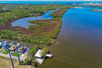 (private lake, pond, coastal) Home For Sale in Gibsonton Florida