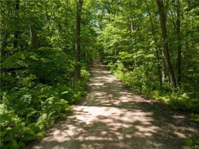 Lake Acreage For Sale in Sarona, Wisconsin