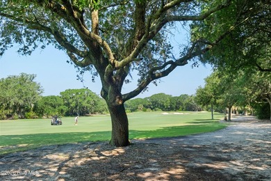 Golf course living wrapped in maritime forest privacy. Nestled - photo 48