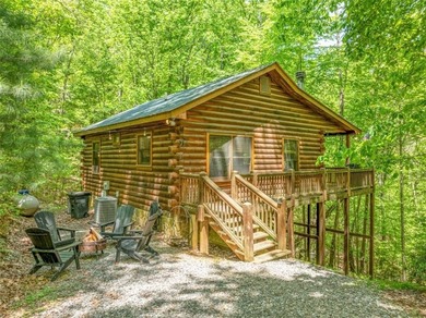 Lake Home For Sale in Blue Ridge, Georgia