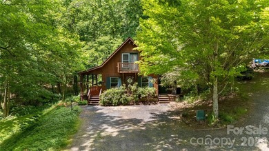(private lake, pond, coastal) Home For Sale in Bakersville North Carolina