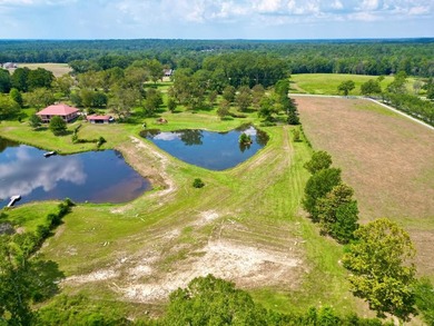 (private lake, pond, coastal) Acreage Active Under Contract in Poplarville Mississippi