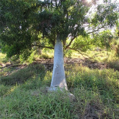 38 acres Total.. 2 parcels, 1 acre lot on stringfellow, 37 acre - photo 15