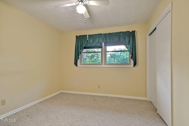 Welcome to your own private retreat in the heart of Kingsport! - photo 35