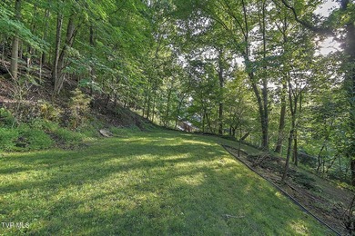 Welcome to your own private retreat in the heart of Kingsport! - photo 46