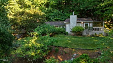 Welcome to your own private retreat in the heart of Kingsport! - photo 47