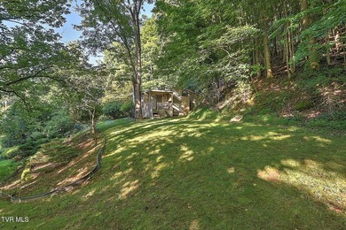 Welcome to your own private retreat in the heart of Kingsport! - photo 49