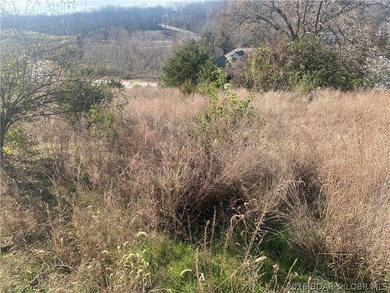 Outstanding 9 lots development opportunity in Country Club Cove - photo 4