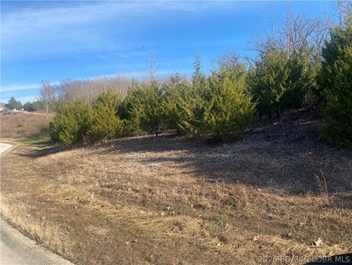 Outstanding 9 lots development opportunity in Country Club Cove - photo 8