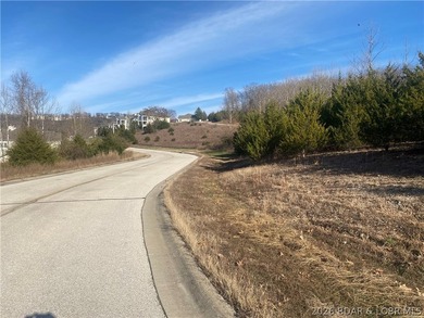 Outstanding 9 lots development opportunity in Country Club Cove - photo 9