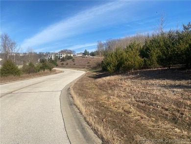 Outstanding 9 lots development opportunity in Country Club Cove - photo 10
