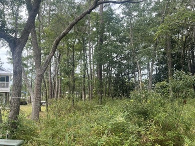 Discover Your Waterfront Paradise in Freeport, Florida! Imagine - photo 7