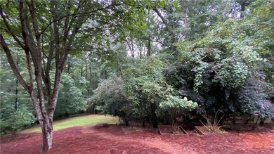 CUSTOM-BUILT LAKE LANIER ESCAPE. Over ONE acre! Permitted Swim - photo 48