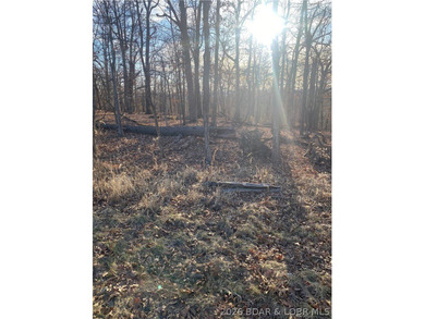 Prime Development Opportunity on Horseshoe Bend Parkway. This 5 - photo 2