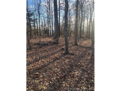 Prime Development Opportunity on Horseshoe Bend Parkway. This 5 - photo 4
