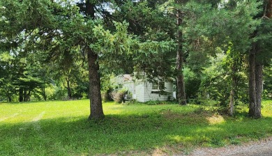 (private lake, pond, creek) Home Active Under Con in Croswell Michigan
