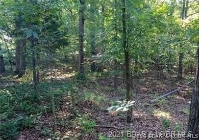 Prime Lakefront Development Opportunity! An incredible location - photo 8