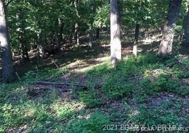 Prime Lakefront Development Opportunity! An incredible location - photo 9