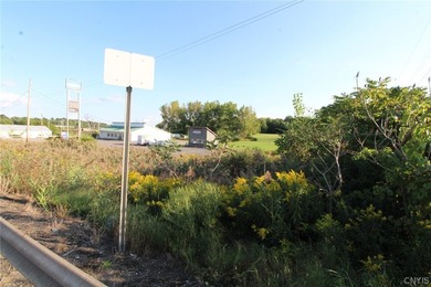 27.88 ACRES RIGHT OFF INTERSTATE-81. EXIT 32!!, * Minutes from - photo 12