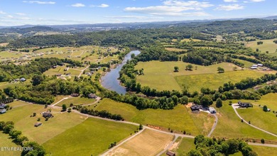 Holston River front lot in this beautiful upscale neighborhood - photo 14