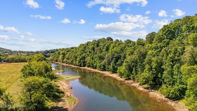 Holston River front lot in this beautiful upscale neighborhood - photo 15