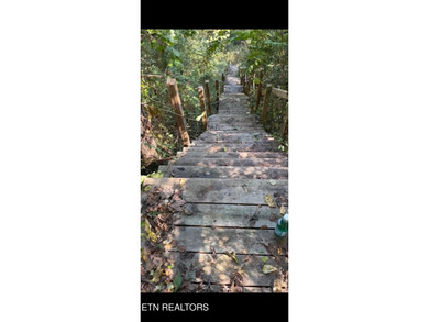 Holston River front lot in this beautiful upscale neighborhood - photo 19