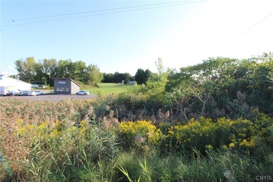 27.88 ACRES RIGHT OFF INTERSTATE-81. EXIT 32!!, * Minutes from - photo 28