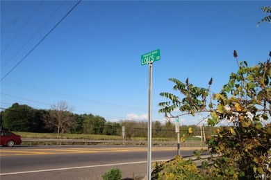 27.88 ACRES RIGHT OFF INTERSTATE-81. EXIT 32!!, * Minutes from - photo 30