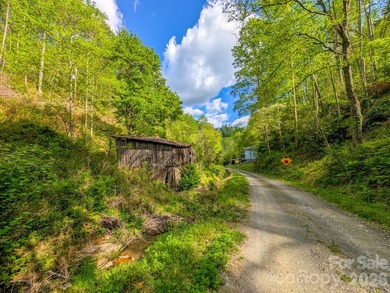 Welcome to 77 Griffith Branch Road, a peaceful mountain retreat - photo 32