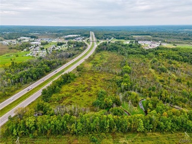 27.88 ACRES RIGHT OFF INTERSTATE-81. EXIT 32!!, * Minutes from - photo 45