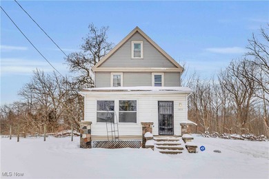 Lake Home For Sale in Elyria, Ohio