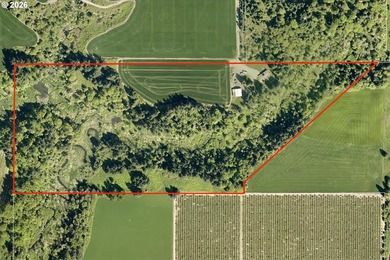 You can have it all! This 64+ Acre farm offers end of the road - photo 3