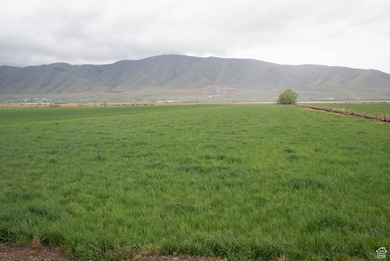 Utah Lake Acreage For Sale in Benjamin Utah