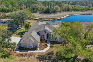 Summerfield Lake Home Sale Pending in Lakewood Ranch Florida