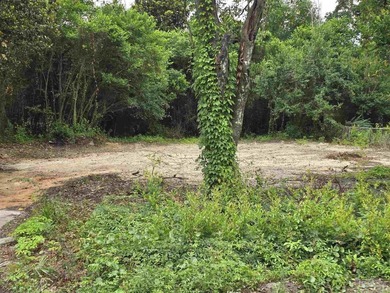 Looking for a reasonably priced lot to build on? This is it, and - photo 4