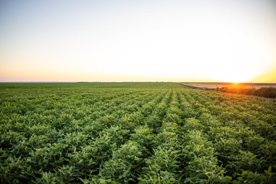 Lakeview Legacy Farms offers the best of South Dakota's sporting - photo 7