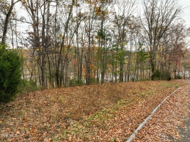 Lake Lot For Sale in Piney Flats, Tennessee