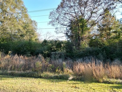 This 15.6 acre parcel has beautiful mature oaks and pine trees - photo 2