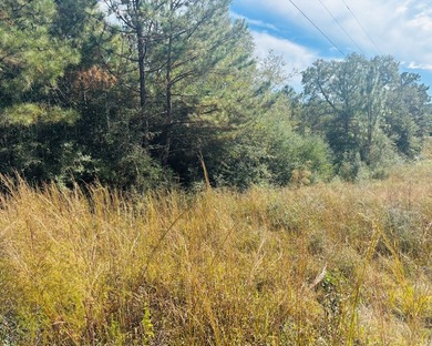This 15.6 acre parcel has beautiful mature oaks and pine trees - photo 3