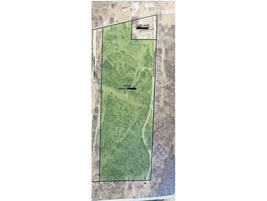 This 15.6 acre parcel has beautiful mature oaks and pine trees - photo 5