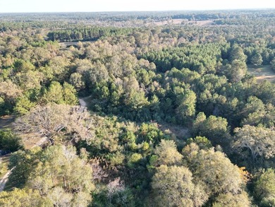This 15.6 acre parcel has beautiful mature oaks and pine trees - photo 8
