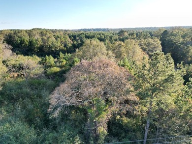 This 15.6 acre parcel has beautiful mature oaks and pine trees - photo 10