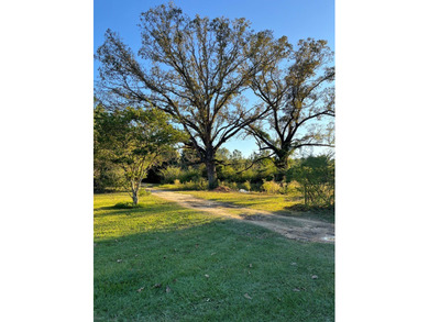 This 5 bedroom, 2 1/2 bath home on 1 acre of land with an - photo 7