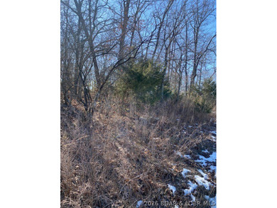 Prime Building Opportunity in Country Club Cove! Located in the - photo 10
