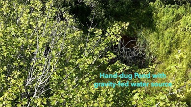 Welcome to Rabbit Path Hideaway --- Gorgeous wooded 26 +/- acres - photo 11