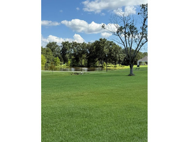 (private lake, pond, coastal) Lot For Sale in Carriere Mississippi