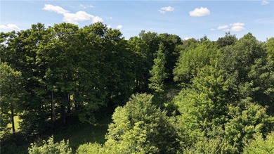 Welcome to Rabbit Path Hideaway --- Gorgeous wooded 26 +/- acres - photo 12