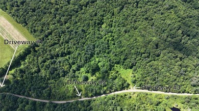 Welcome to Rabbit Path Hideaway --- Gorgeous wooded 26 +/- acres - photo 13